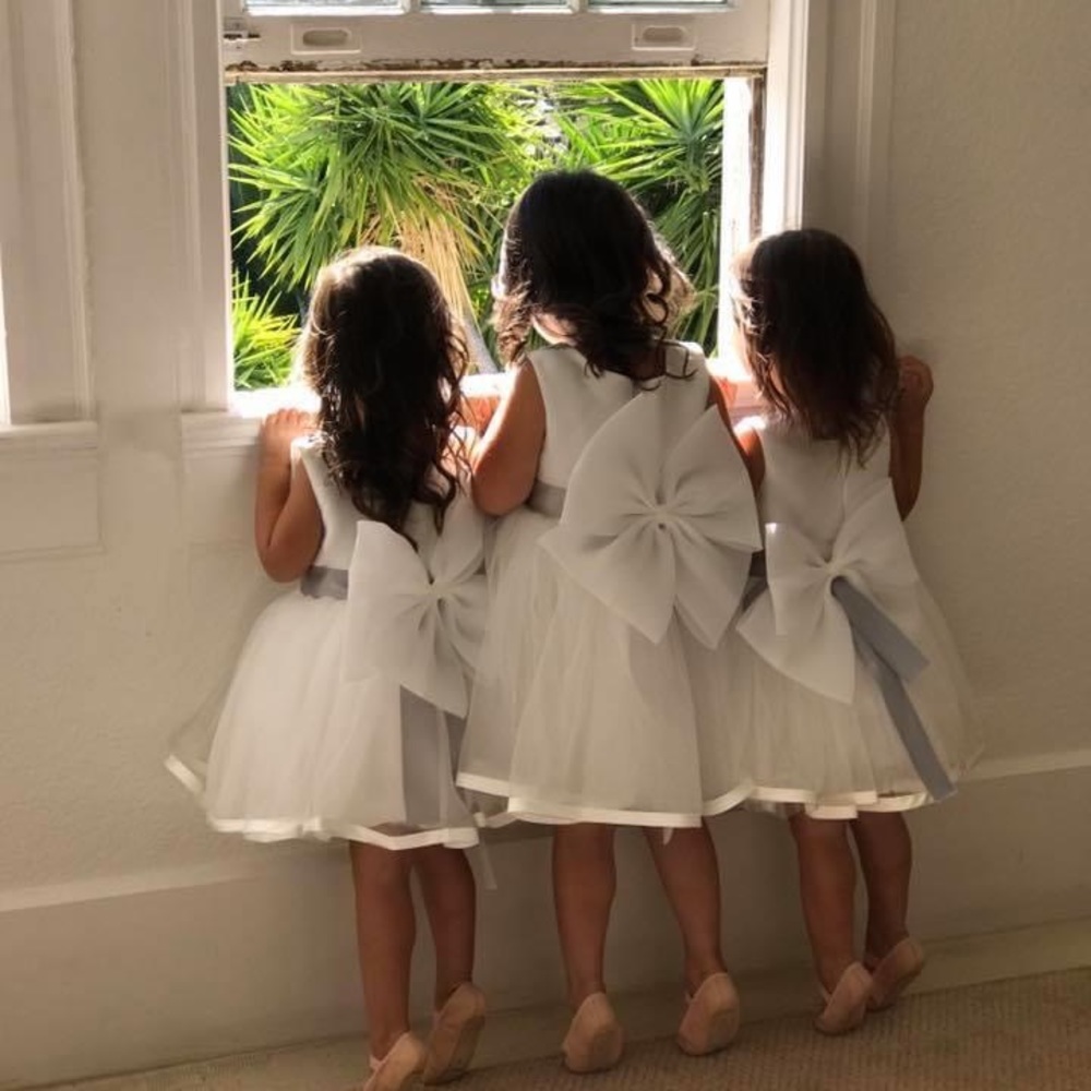 formal flower girls dresses size 2t and 4 t